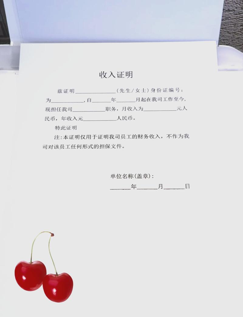 孝感代开收入证明的正确姿势：张会计的突围战